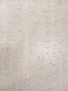 -1x-1xMQ_IMG_20250205_095933