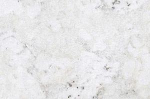 vico-show_805x536_598