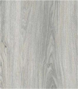 g0cgvs5d75r8sg297toa7dv72g1ol1md 1