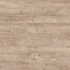 DW 4005 LNN X-1.1599650116.jpg.1920x1080r