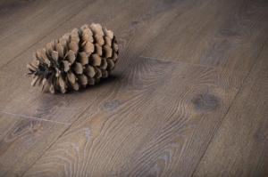 1669299078_chestnut_oak_levaya_528 1669299078_chestnut_oak_levaya_528