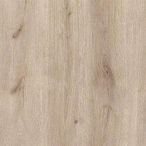 n53ldrslfdf9d64dttk1seazg20ox2s7 1