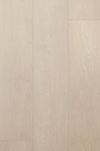 6gkvygfkfe9n8bjw60id1qsqs6e2fd5v 1