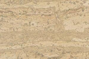 comprido-vanilla_805x536_598[1]