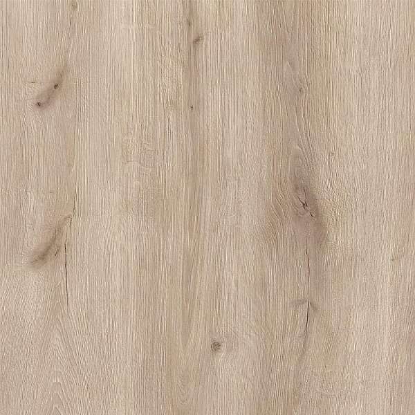 n53ldrslfdf9d64dttk1seazg20ox2s7 1