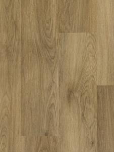 dljf34wp3m3b53zeujzquykkt3dr50cx 1