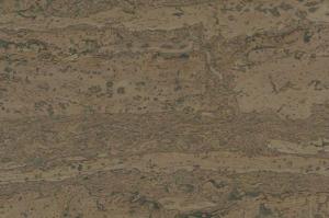 comprido-march_805x536_598[1]