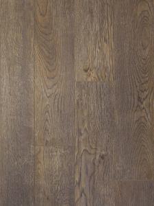 8fc53e444726d3e56cf789934bc032a8 1