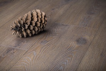 1669299078_chestnut_oak_levaya_528 1669299078_chestnut_oak_levaya_528
