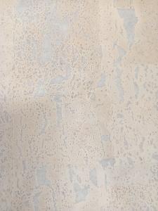 -1x-1xMQ_IMG_20250205_103706