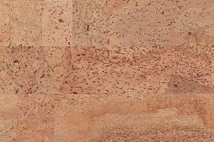 fantasie_805x536_598[1]