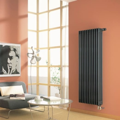 trubchatyy-radiator-arbonia-21806-nizhnee-podklyuchenie-s-ventilem-69-tvv-tsvet-anthrazit-metallic-1-500x500