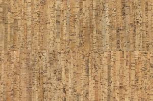 costa-1-1_805x536_598