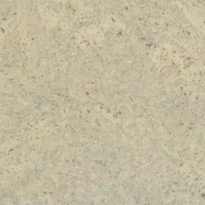 toledo-blanko-e1559296959979 1