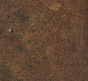 Amadora_marron_IF_3_-_tekstura 1