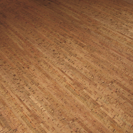 CK3-378v-NN-perspectiva-1