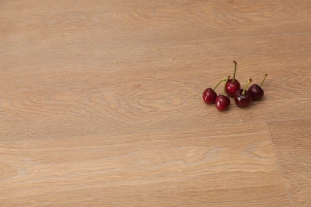 7f6pd8w1gftorrexngxq9okbytma4ahq