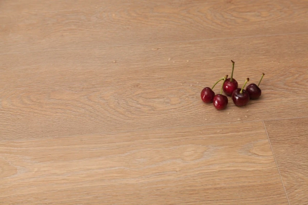 7f6pd8w1gftorrexngxq9okbytma4ahq