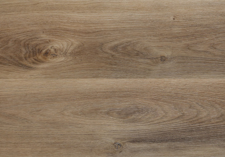 81cebee464751c207ce385a23e673d60