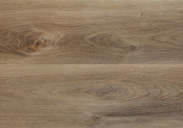 81cebee464751c207ce385a23e673d60