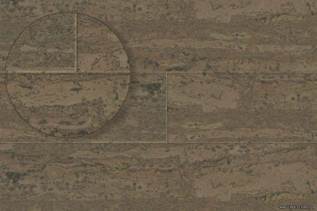 comprido-march1_805x536_598