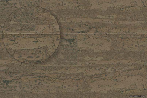 comprido-march1_805x536_598