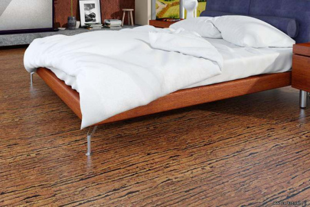 tigre-int_805x536_598