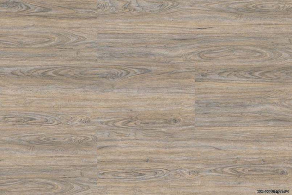 cork-oak-leached1-1_805x536_598