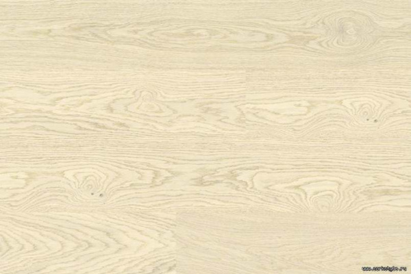 oak-white-markant1_805x536_598