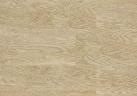 dcae74506703c0dcc78a8bd34d7bf14d