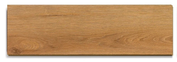 589 Palencio-2.1695630755.jpg.1200x1200r