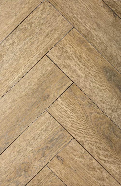 9f70d9fe097dd7d7a6ced823ac49ca07