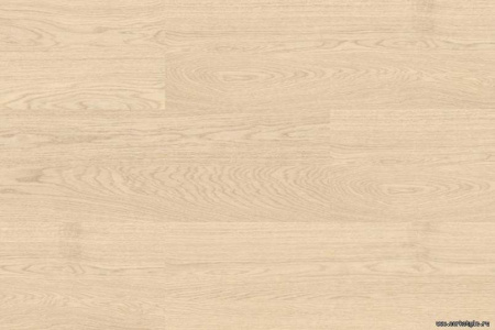 oak-creme1_805x536_598