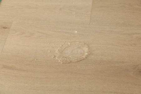 1jkvg4zsibef5i42gh7ym3x7c80zxddy