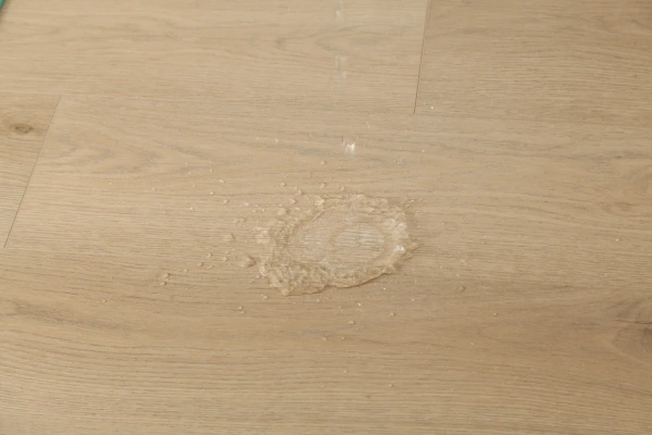 1jkvg4zsibef5i42gh7ym3x7c80zxddy