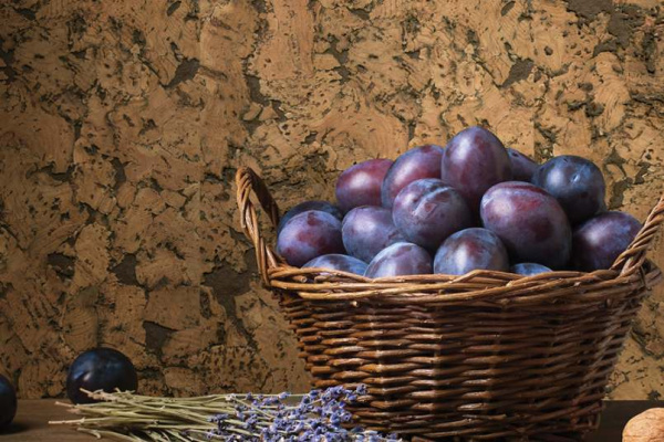 monte-brown-(1)_805x536_598