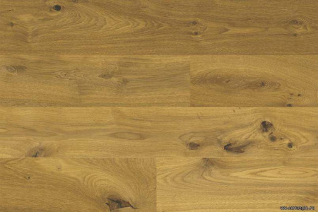 oak-knotty1_805x536_598