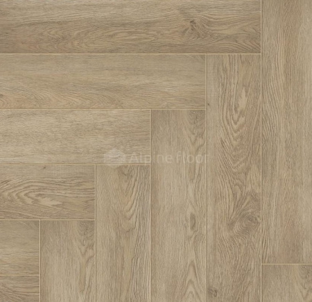 изображение_viber_2021-10-20_12-03-09-193