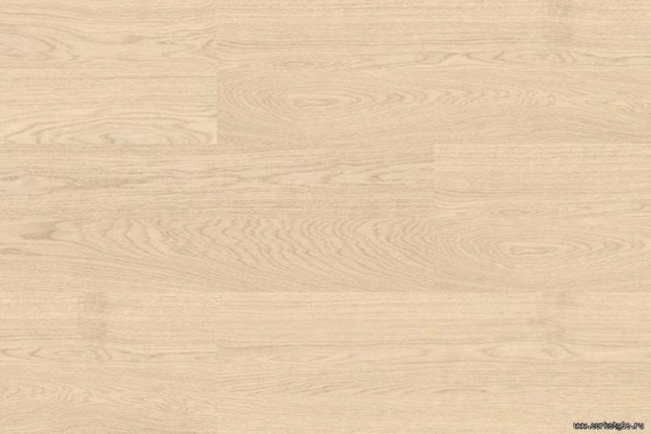 oak-creme1_805x536_598