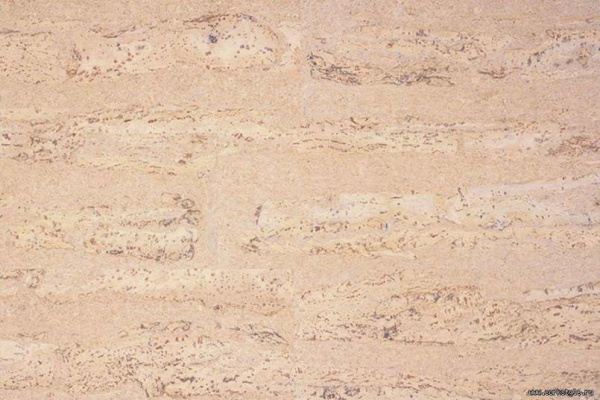 compridocreme1_805x536_598