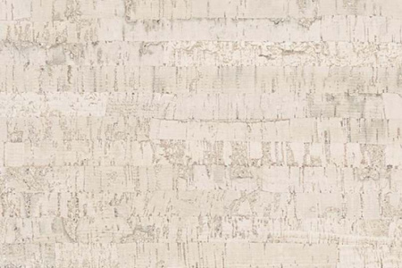 lineawhite_805x536_598[1]