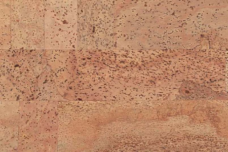 fantasie_805x536_598[1]