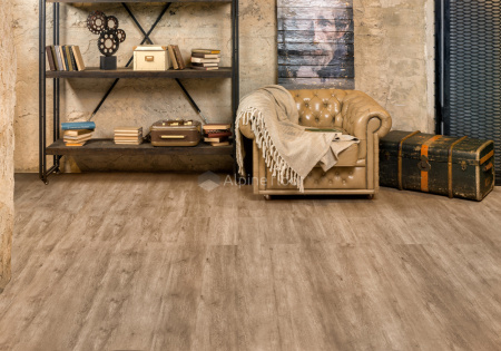 2137a3757effbff6c83abc32bc4843d6