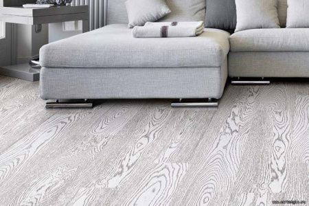 oak-blaze-int1_805x536_598