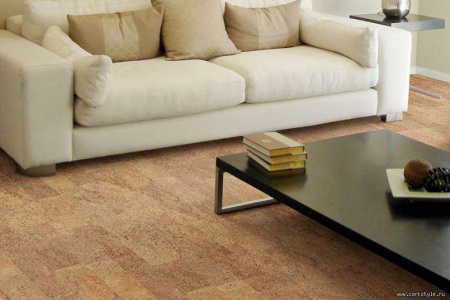 fantasie-int1_805x536_598