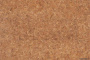 p999-int1_805x536_598