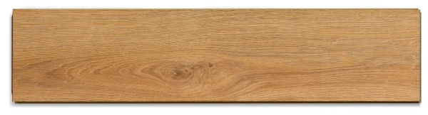 589 Palencio-3.1695630755.jpg.1200x1200r