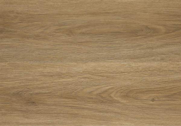 c4dae5faeebe5a0486cf23cc3f47025e