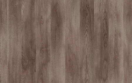 polo 1