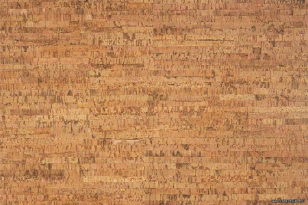 linea1_805x536_598